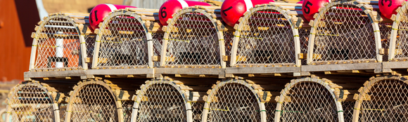 Understanding Line Haulers: How They Make Fishing Easier