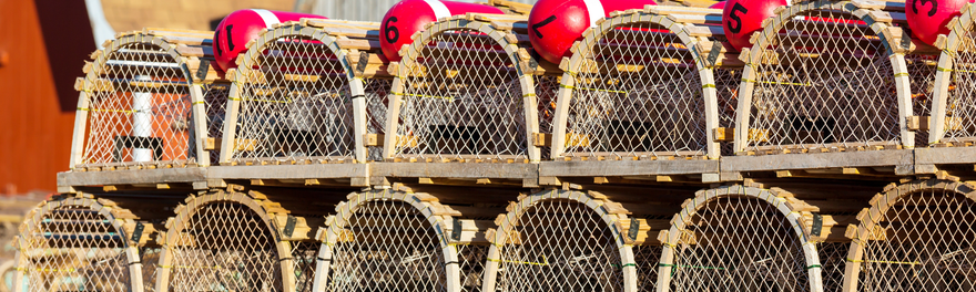 Understanding Line Haulers: How They Make Fishing Easier