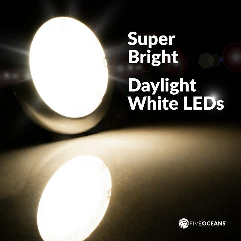 LED 12V Dome Interior Stainless Steel Round Ceiling Light - Five Oceans (BC-2631) | Canadian Marine & Outdoor Equipment